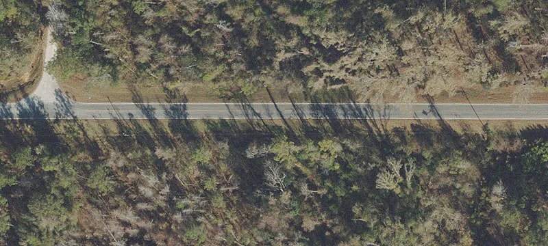 Sneads, FL Hunting Land