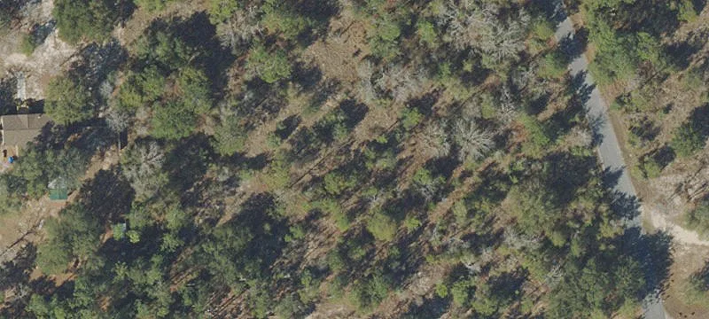 Vacant Lot in Gated Community