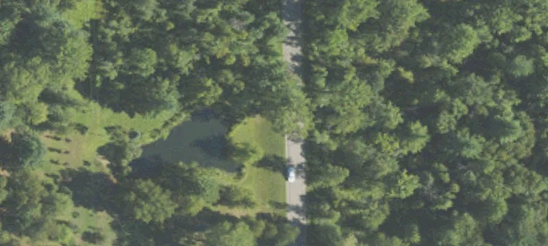 36 Acres Hunting Land