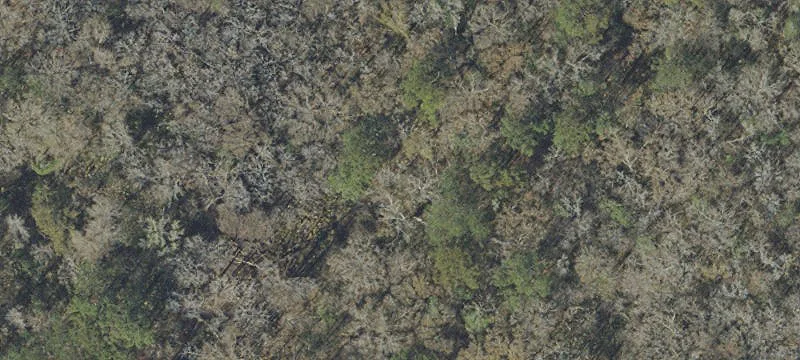 90.9 Acres with Creek Frontage
