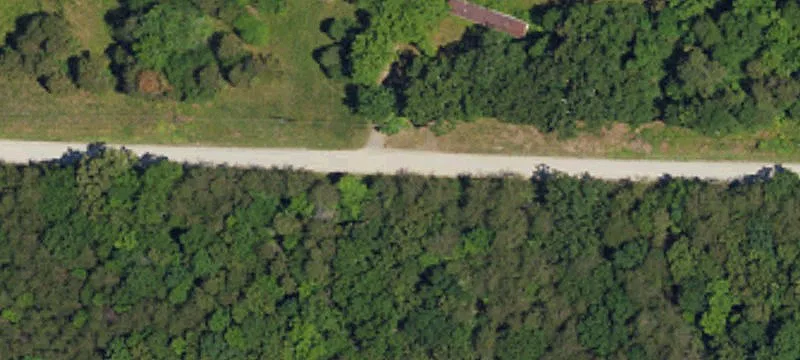 Wooded Land Parcel in Rockwell