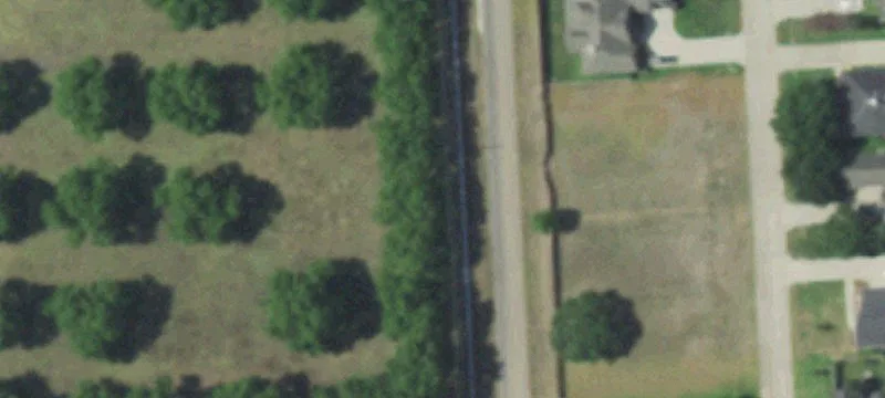 60 Acres in Fulshear