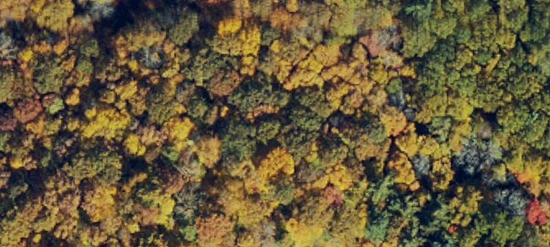 Land Bordering Pisgah National Forest