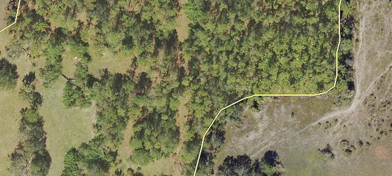 120 Acres Development Opportunity