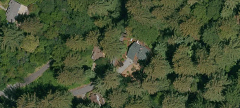 Wooded Lot in Los Gatos