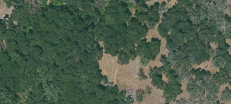 Carmel Valley Vineyard Opportunity