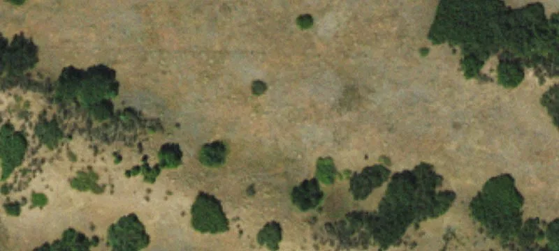 Castle Rock Acreage with Well