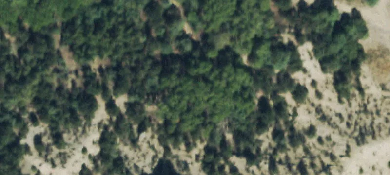 45 Acres in Chaffee County