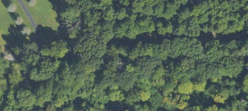 3.25 Acre Parcel for Dream Home