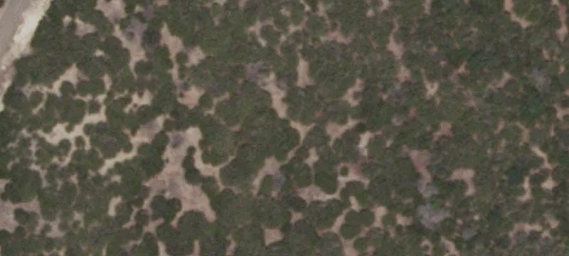 River Oaks Land Tracts