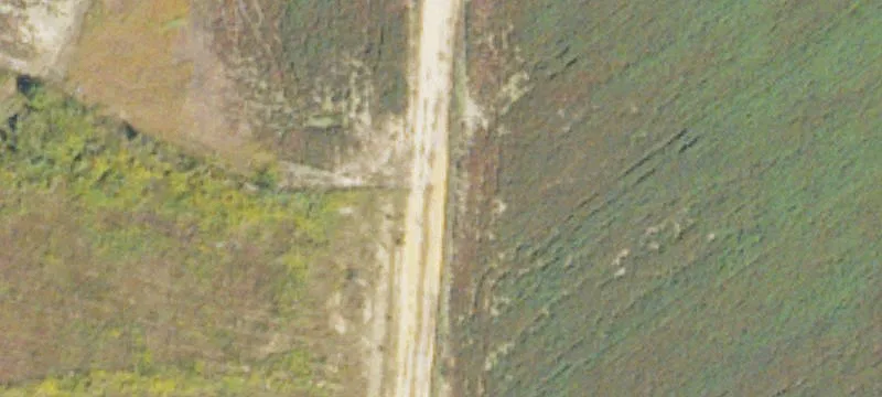 75 Acres of Versatile Land