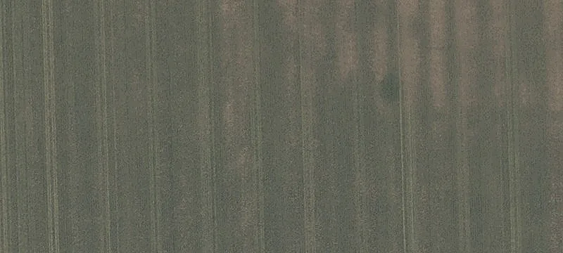 Prime Tillable Farm Ground
