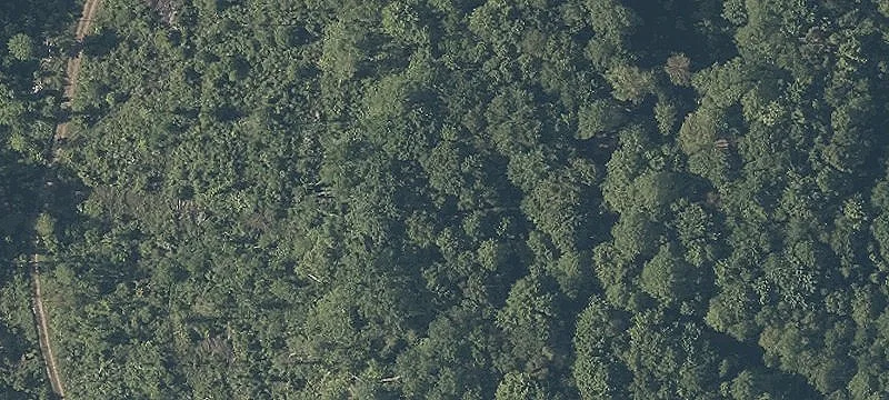 7 Acres Commercial Land Opportunity