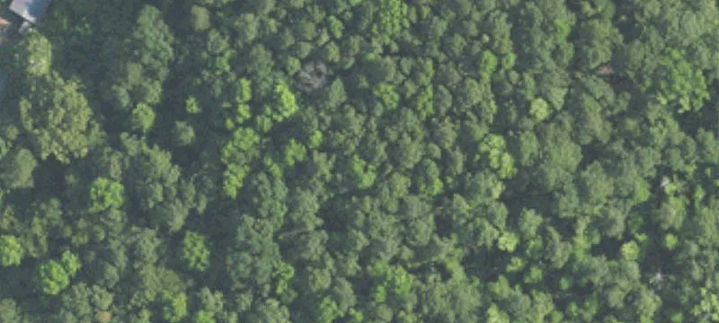 Commercial Land For Sale