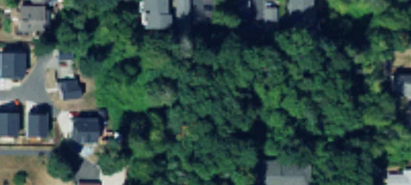 Residential Land in Established Neighborhood