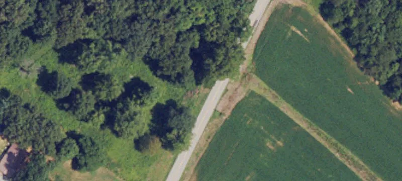 Operating Poultry Breeder Farm