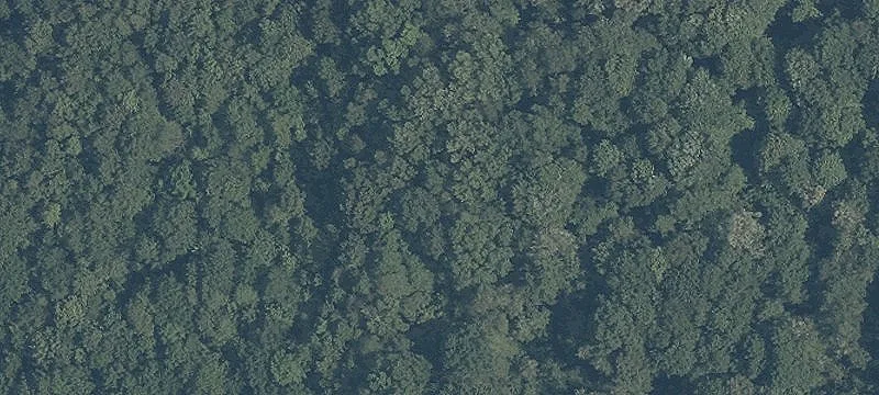 Industrial Land with Tax Abatement