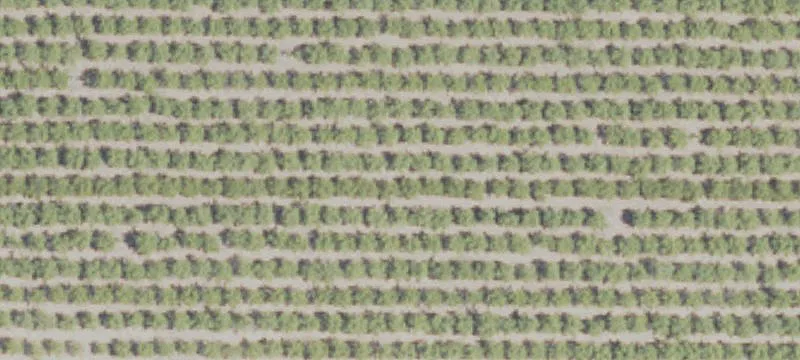 160 Acres Hunting and Agricultural Land