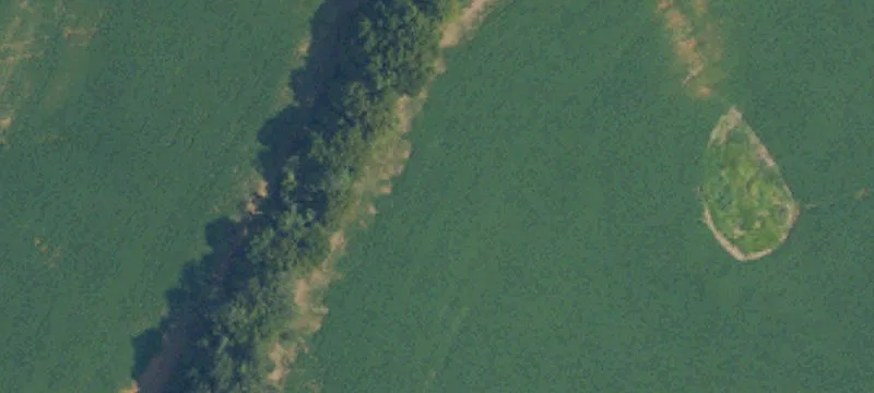 Ready-to-Build Lots in Calhoun, KY
