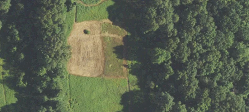 39 Acres Development Opportunity