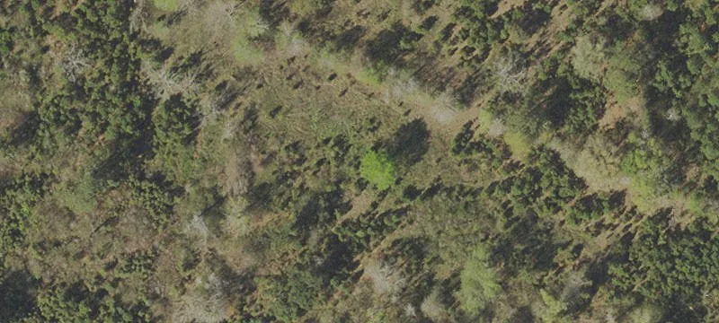 32.88 Acres on Highway 231