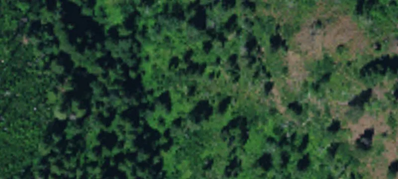Residential Lot Near Touchet River