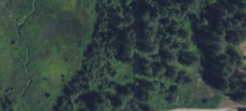 10-Acre Homesite in Gated Community