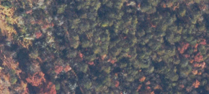 High-Traffic Site Near I-81