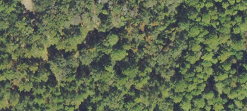 Prime Commercial Land Opportunity