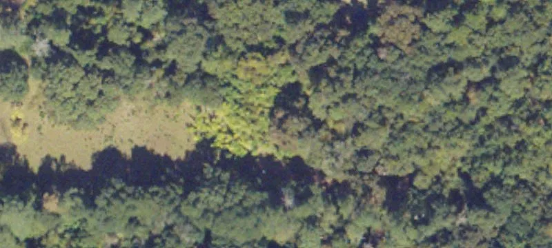 Commercial Land on U.S. 41