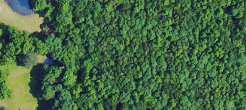 Commercial Lot in Florence, Alabama
