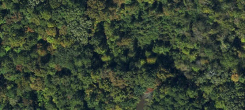Land Near Randolph Mega Site
