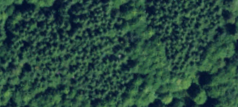 Waterway Cabin Potential Site