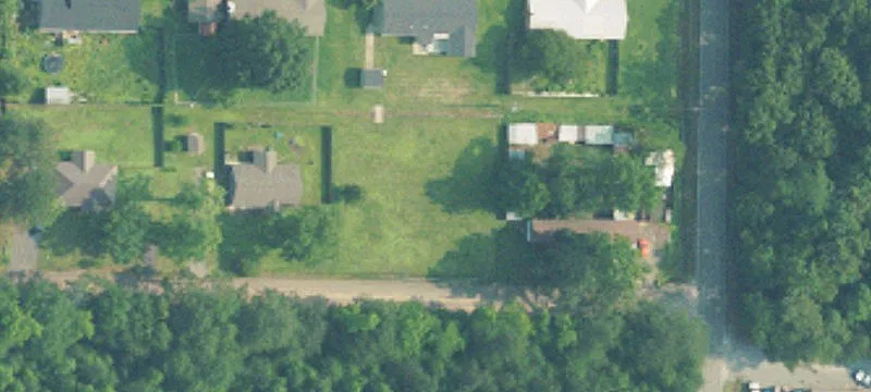 60 Acres of Timber Land