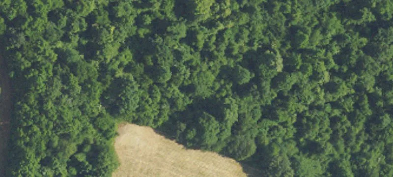 Commercial Land For Sale