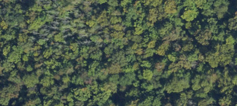 Residential Lot for New Home