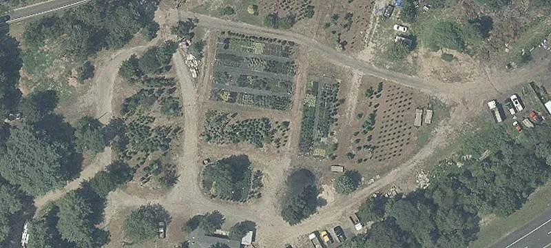 Agricultural Land with Income Potential