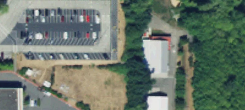 Established Business For Sale