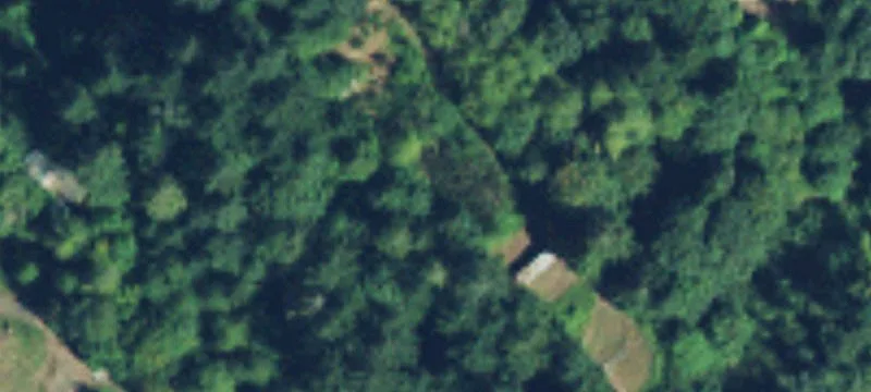 Hood Canal View Lot
