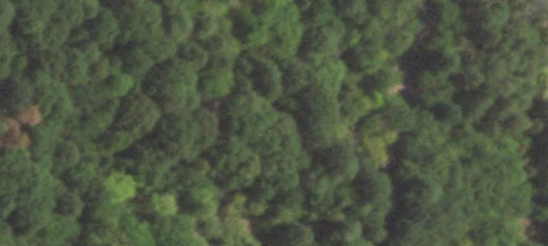 Prime Development Land I-20 Frontage