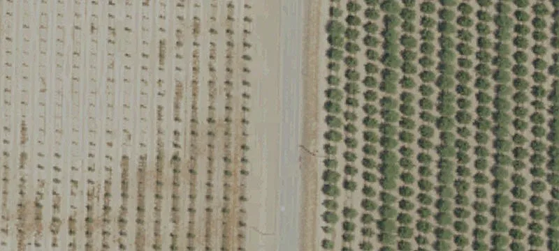 Los Banos Industrial Development Site