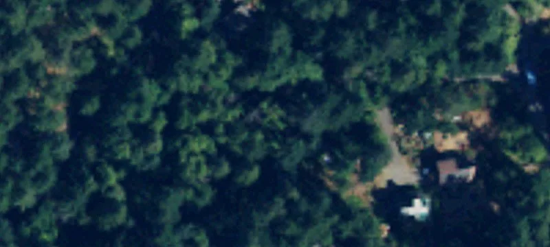 Forested Lots Backing Aiston Preserve
