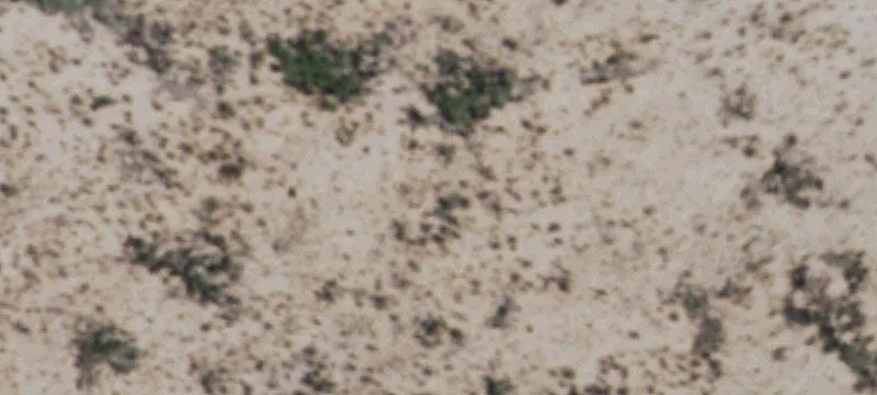 Multi-Use Property Near McCamey