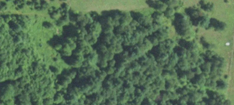 Heavily Wooded Residential Building Lot