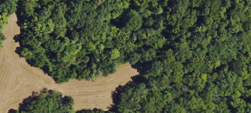 Commercial Land in Prime Location