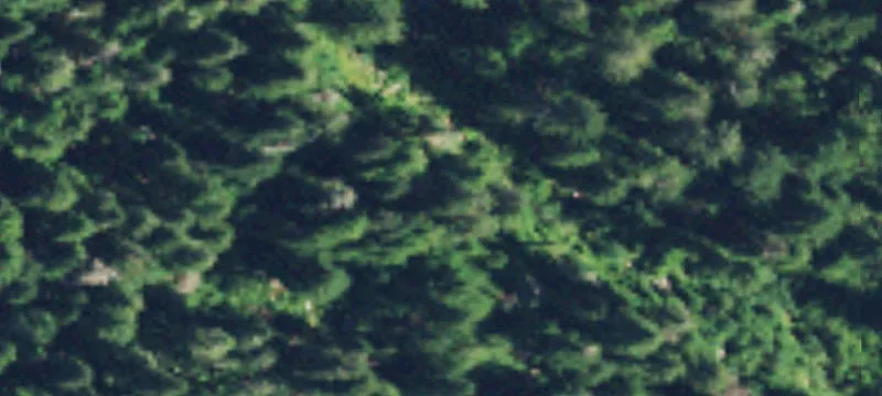 29-Acre Timberland Tract Near Montesano