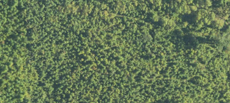 Commercial Land Opportunity