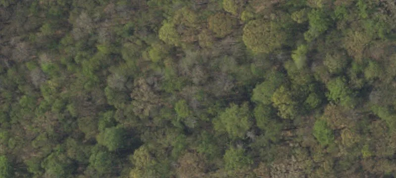 Undeveloped Land Parcel For Sale