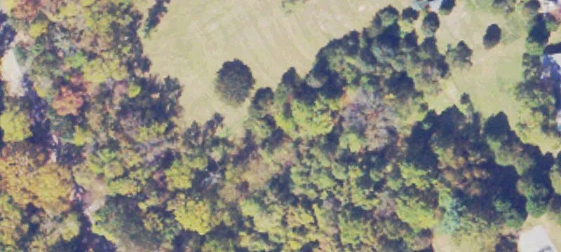 10 Acre Corner Parcel in Daleville