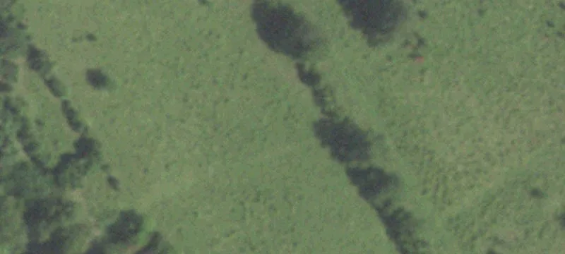 9.24 Acres on Rhodes Road
